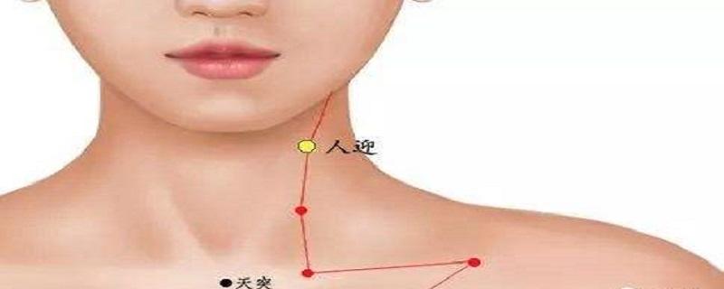 人迎在哪个位置图片 人迎的准确位置图图解