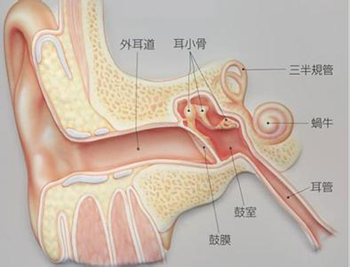 耳朵里面疼是怎么回事 孩子耳朵里面疼是怎么回事