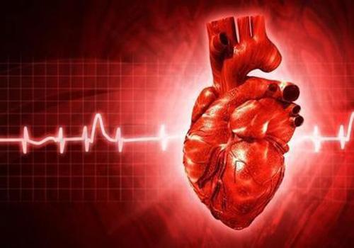 冠心病饮食注意什么 轻微冠心病饮食注意什么