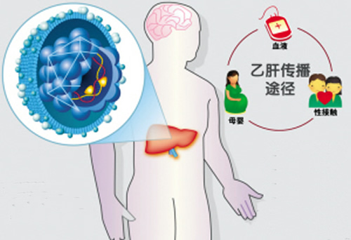 乙肝病毒携带者能生孩子吗（乙肝病毒携带者可以生孩子）