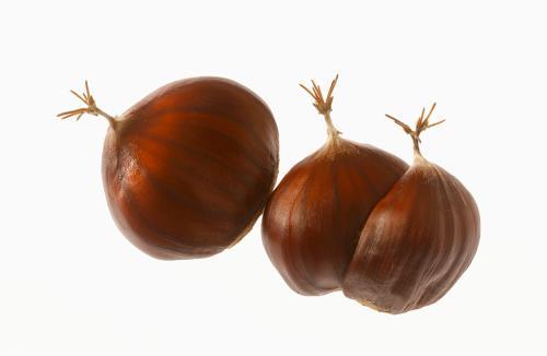 女人肾虚吃什么(女人肾虚吃什么药最好最有效)