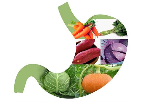 冬天吃什么养胃 冬天吃什么养胃促进消化