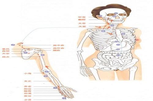 按摩小肠经的好处 按摩肠道的好处