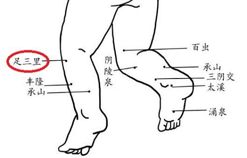 小儿足三里的准确位置图和作用（足三里的准确位置图）