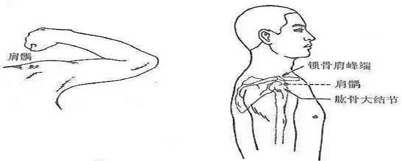 肩髃如何针刺 肩髃的刺法