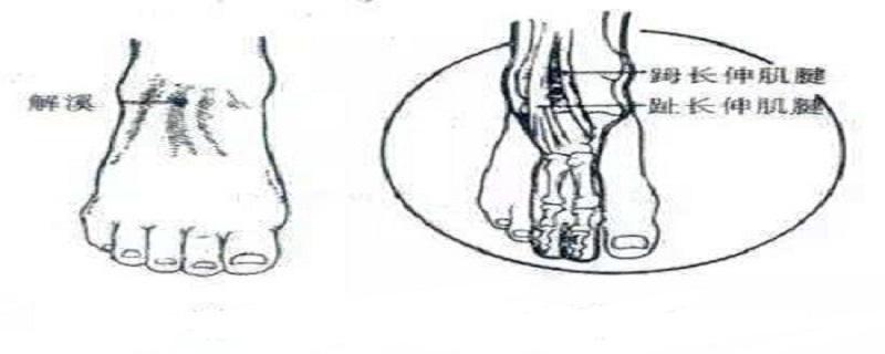 解溪的作用与好处（解溪的准确位置图以及作用与功效）