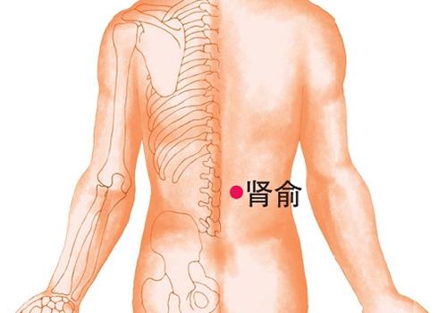 腰椎间盘突出拔罐位置图 腰间盘突出拔罐的位置