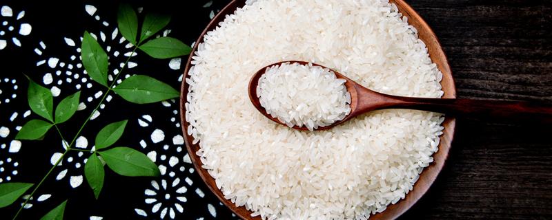 大米热量是多少(大米热量是多少卡)