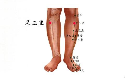 足三里按摩方法（足三里按摩方法图片）