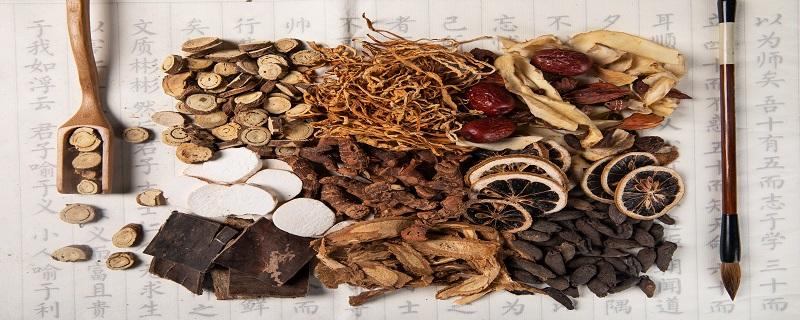 怎样鉴别菟丝子的真假(菟丝子的伪品有哪些)