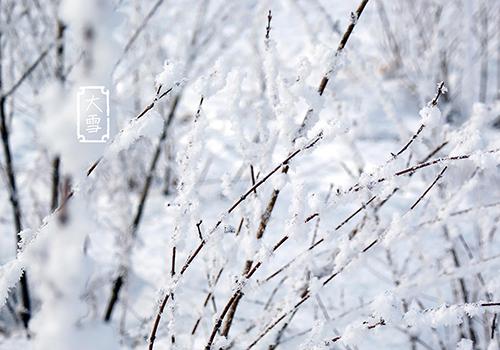 大雪节气的注意事项 大雪节气注意保暖