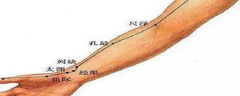 孔最的定位和主治（孔最的定位方法有哪些）