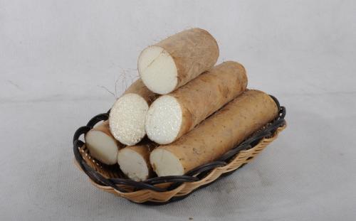 补肾的食物 补肾的食物有哪些食物比较好