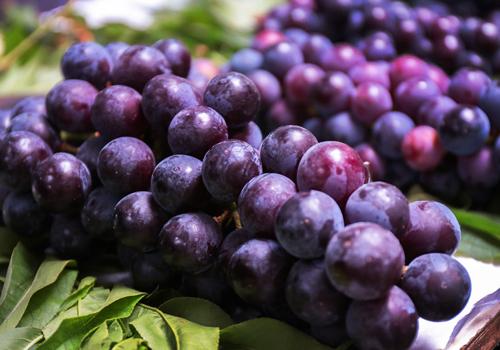 喝酒后可以吃葡萄吗 吃葡萄可以喝豆浆吗