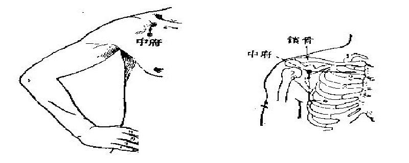 中府在身体哪个地方（你知道中府吗）