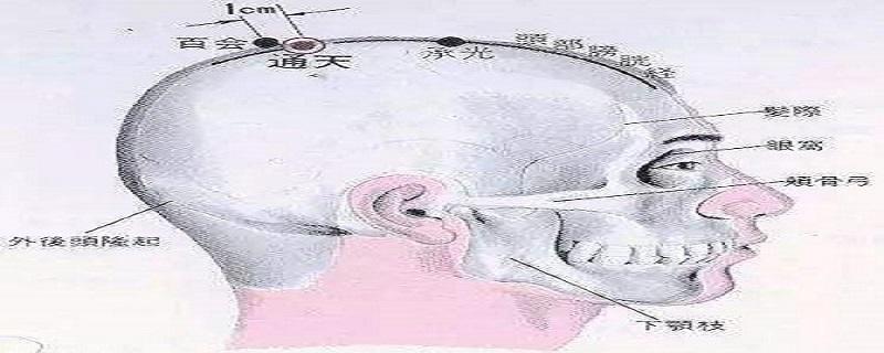 通天的准确位置图视频(通天的准确位置图作用视频)