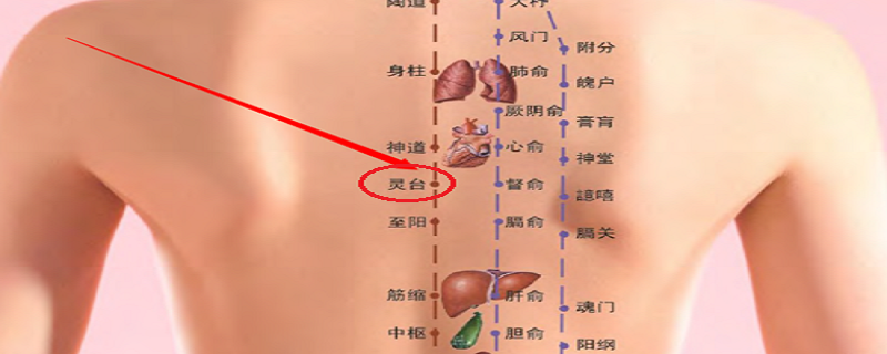 灵台的准确位置功效 灵台准确位置图和功效