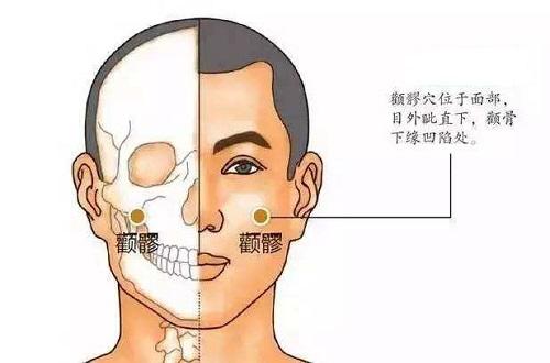 颧髎的准确位置图片（颧髎的准确位置图片图）