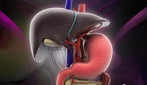 脂肪肝形成的原因 动物脂肪肝形成的原因