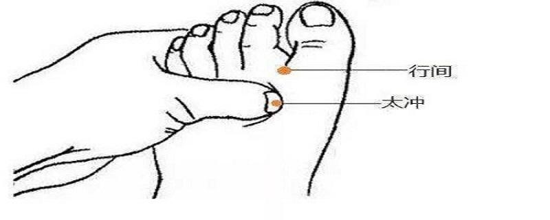 行间的功效与作用 行间准确位置及功效