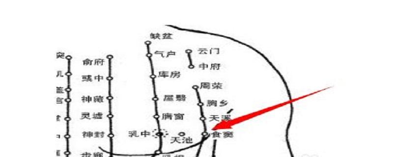 食窦在哪个位置图片（食窦的位置）