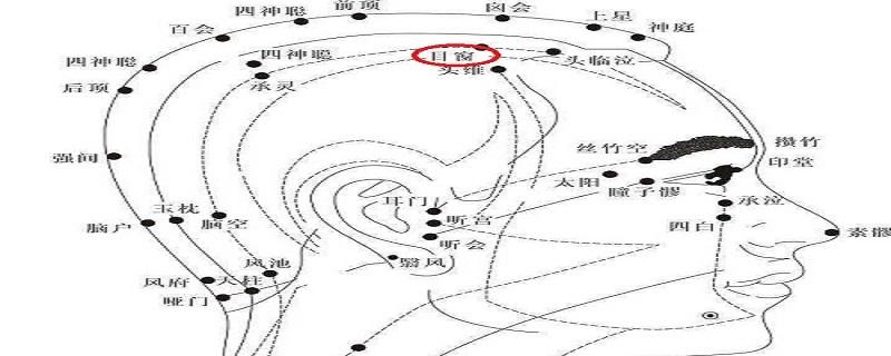 目窗作用和功效 目窗的准确位置及功效