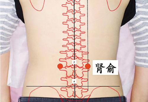 肾结石按摩哪个部位 肾结石按摩哪个部位止痛