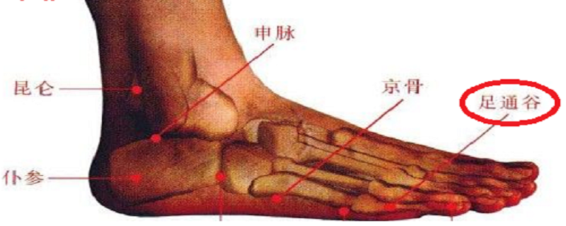 足通谷的功效与作用 足三里配合谷的功效