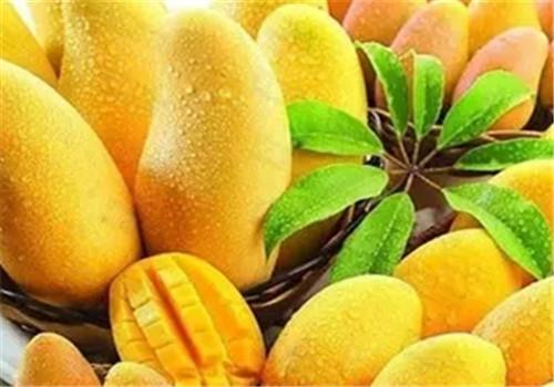 哺乳期不能吃什么水果（哺乳期不能吃什么水果蔬菜）