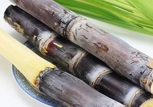 甘蔗糖尿病人可以吃吗（甘蔗糖尿病患者可以吃吗）