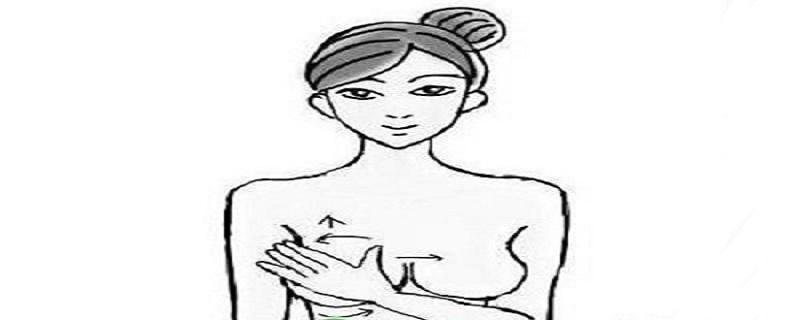 按摩乳根的好处 乳根的功效