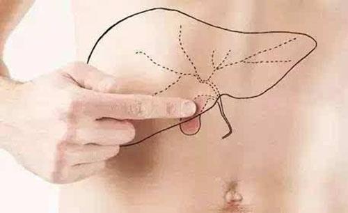 肝不好有什么症状（肝不好有什么症状应该怎么调理）