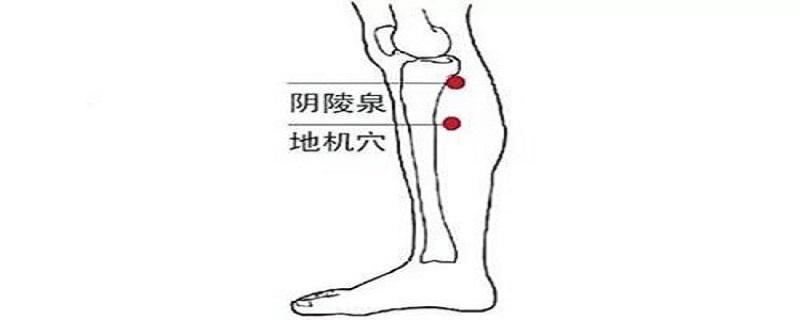 地机的准确位置图视频 地机准确位置和作用视频