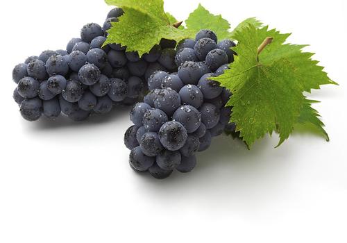 来月经吃什么水果丰胸 来大姨妈吃什么水果丰胸