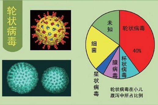 轮状病毒性腹泻治疗 轮状病毒腹泻治疗药物