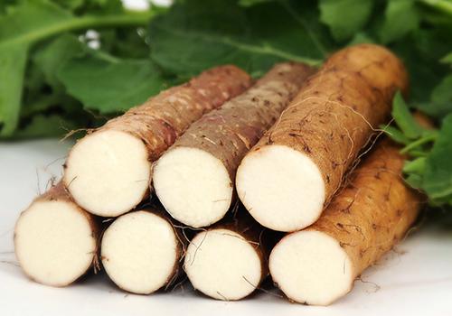 山药和什么一起吃补肾(山药和什么一起吃补肾最好)