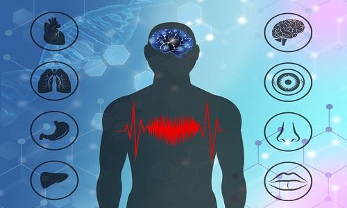 神封的准确位置图作用 神封的准确位置图作用功效