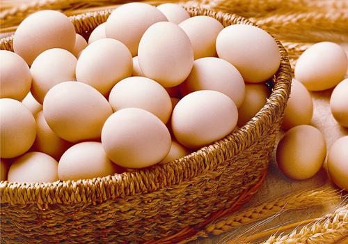乳腺炎可以吃鸡蛋吗（乳腺炎可以吃鸡蛋么）