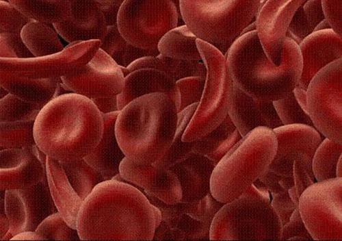 补铁怎么补（补铁怎么补效果最好）