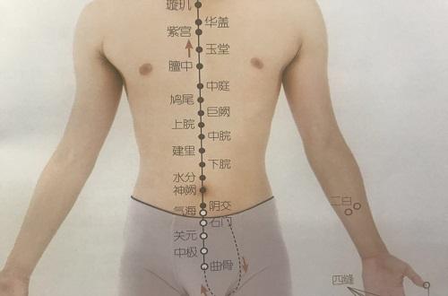 曲骨的准确位置图 曲骨的准确位置图片及功效