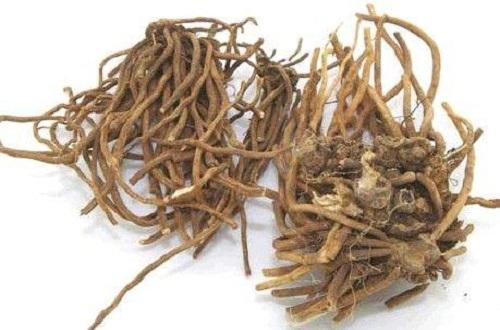 清虚热的中药有哪些 什么药清虚热