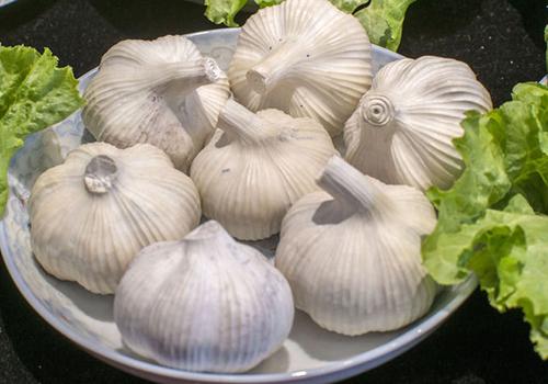 大蒜里面发芽能吃吗(大蒜里面发芽了可以吃吗)