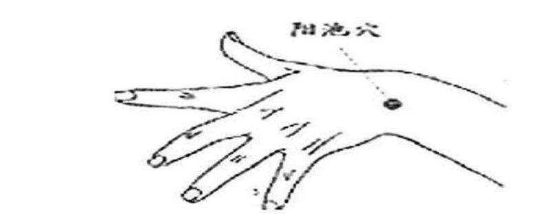 按摩阳池的作用（小儿推拿阳池的作用）