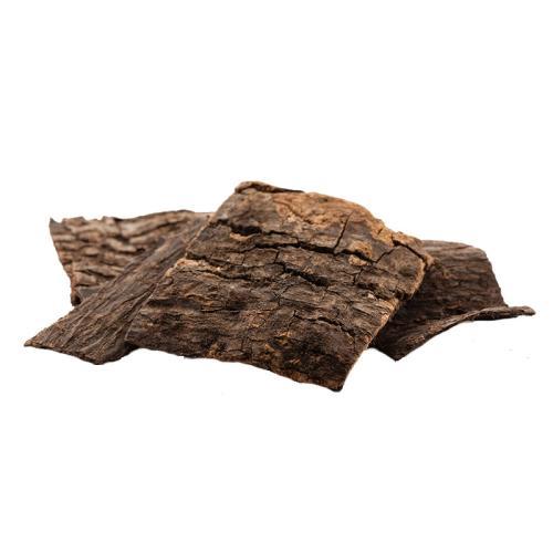 补肾的中药有哪些(补肾壮阳的中药有几种)