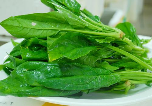 春季吃什么养胃 春季养胃吃什么好