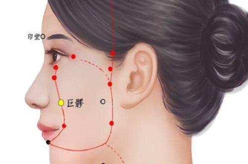 巨髎的准确位置图 巨髎的准确位置图片