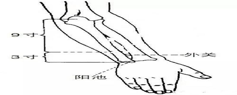 外关针灸位置图和作用 内关针灸图片