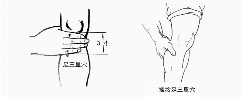 足三里在小腿什么位置 足三里具体位置在小腿的哪里