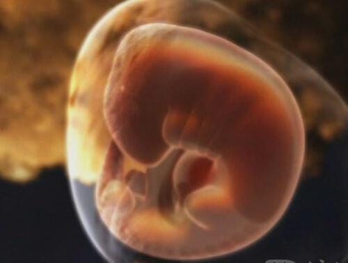 早孕试纸强阳可以排除宫外孕吗（试孕纸强阳能排除宫外孕吗）