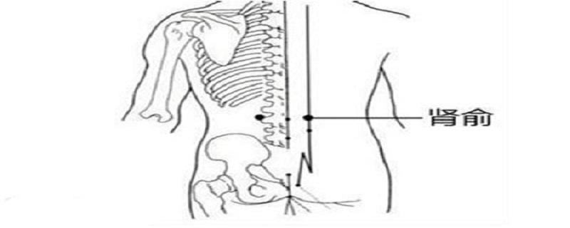肾俞的简易找法（如何找肾俞的准确位置图）